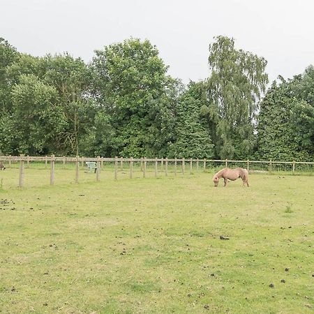 Grove Farm Bungalow With Swimming Pool, Dallinghoo Woodbridge Exterior foto